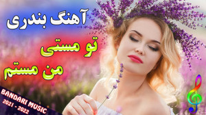 تصویر کوچک برای ویدیو آهنگ شاد بندری: تو مستی، من مستم!